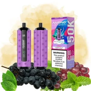 Aivono Grape Mint Vape