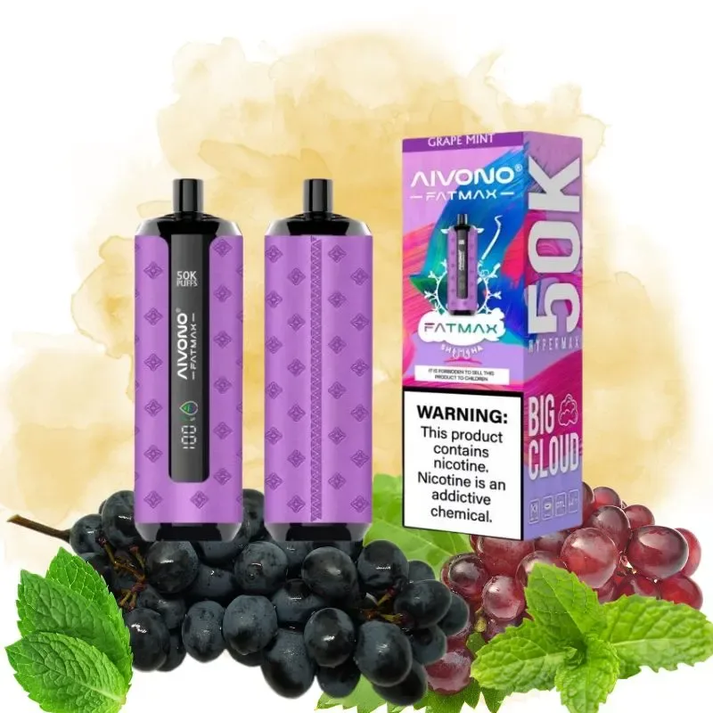 Aivono Grape Mint Vape