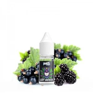 Aroma Cozy Berrie 10ml – Tribal Force