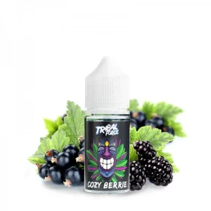 Aroma Cozy Berrie 30ml – Tribal Force