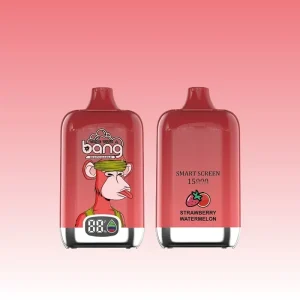 Bang 15000 Puffs