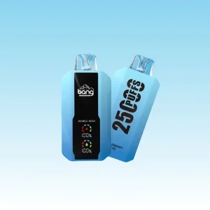 Bang 25000 Puffs