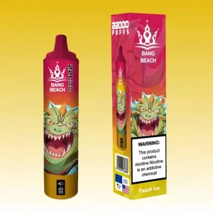 Bang Beach 22000 Puffs