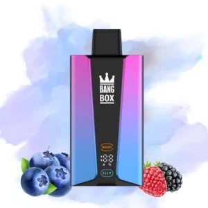 Bang Box Blueberry Sour Raspberry Ice Flavor