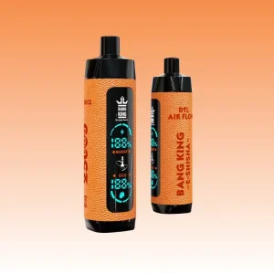 Bang King Shisha 25000 Puffs