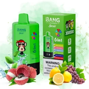 Bang Leader 300k Puffs