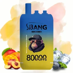 Bang Leader Blueberry Ice & Black Dragon Ice & Mango Peach okus