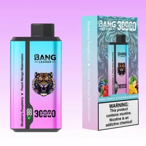 Bang Leader Blueberry Raspberry & Peach Mango Watermelon okus