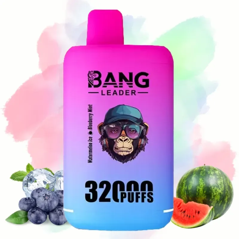 Bang Leader Watermelon Ice & Blueberry Mint okus