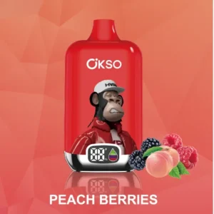 Elf Box Peach Berries Vape