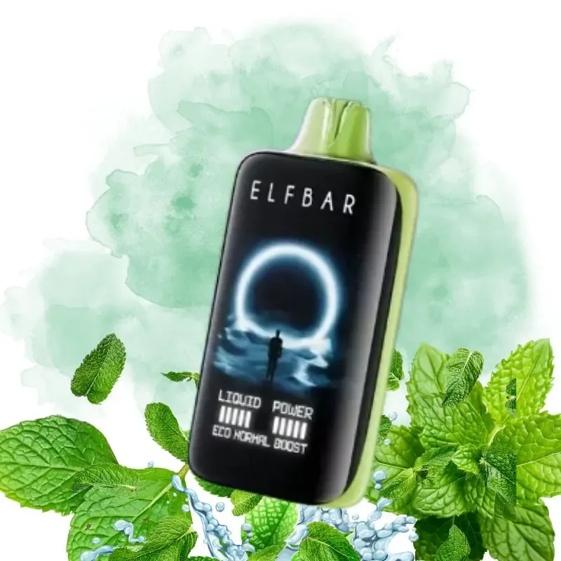 ElfBar Miami Mint Vape
