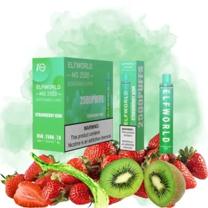 Elfworld okus Strawberry Kiwi