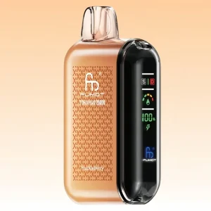 Fumot Huckleberry Vape