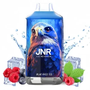 JNR Blue Razz Ice Vape