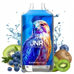 JNR Blueberry Kiwi Vape