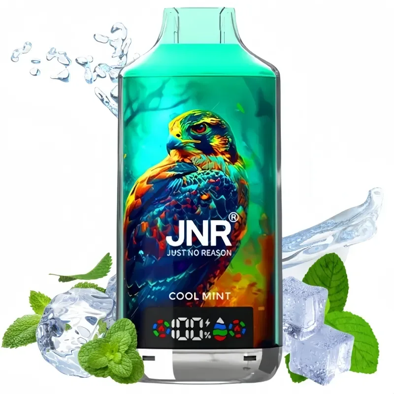 JNR Cool Mint Vape