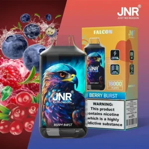 JNR Falcon 16000 Puffs – Jednokratna elektronička cigareta s 16000 povlačenja - Vapecroatia-Fokusirani na kvalitetnu vape veleprodaju i maloprodaju