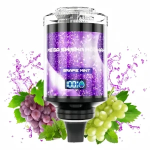 JNR Grape Mint okus