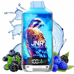 JNR Mr.Blue Vape