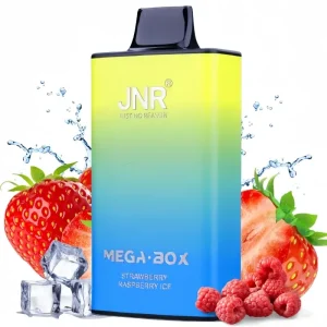 JNR Strawberry Raspberry Ice Vape