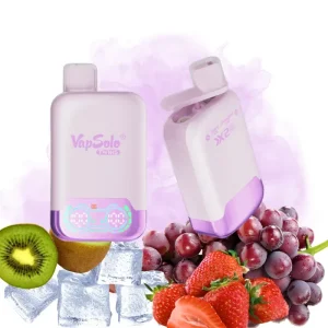 VapSolo Grape Ice & Strawberry Kiwi Vape