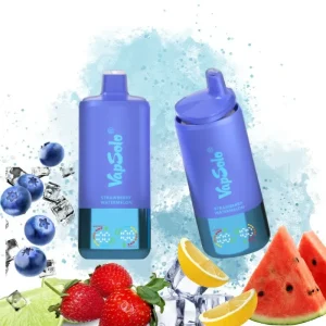 Vapsolo Lemon Lime & Strawberry Watermelon & Blueberry Ice okus