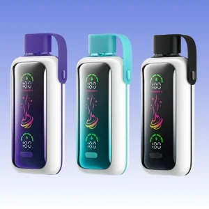 VOZOL Star 20000 Puffs