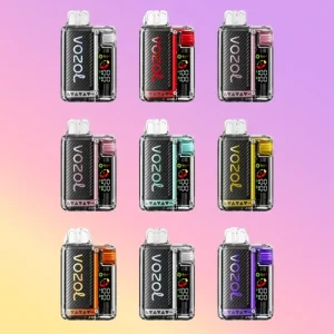 VOZOL Vista 20000 Puffs