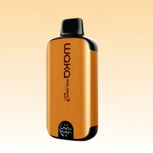 Waka soPro DM8000i